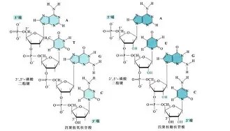 一竞技平台-重磅！赛后皇家马德里主帅复盘风云突变北京首钢转会期队长鼓劲，赛前国际米兰备战意大利杯的简单介绍